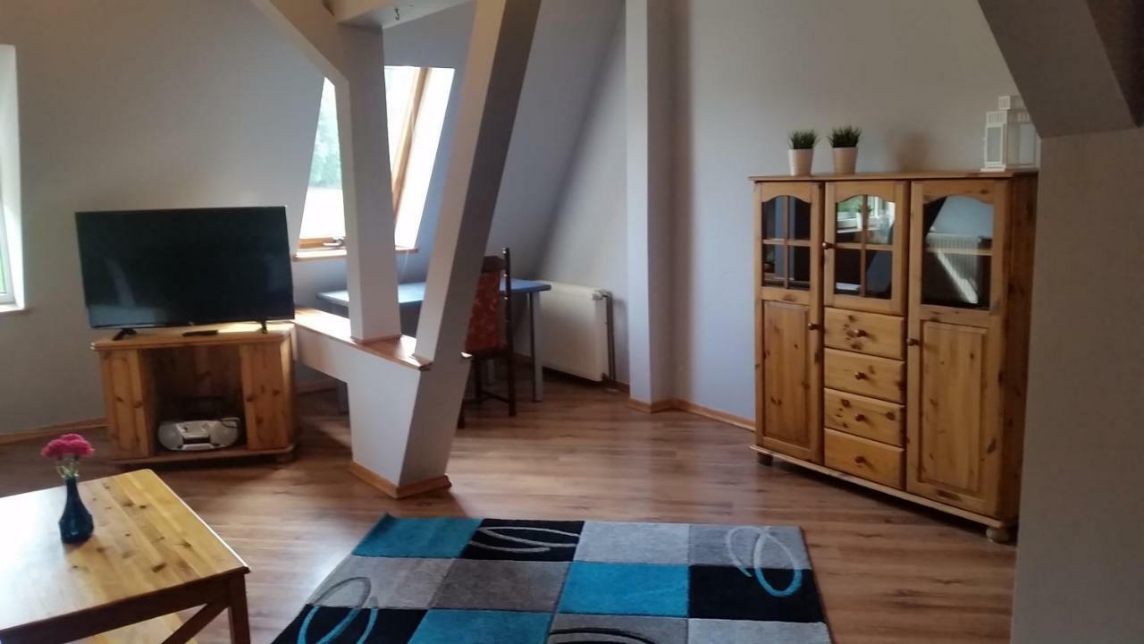 Apartament Blonia شتشيتسين المظهر الخارجي الصورة