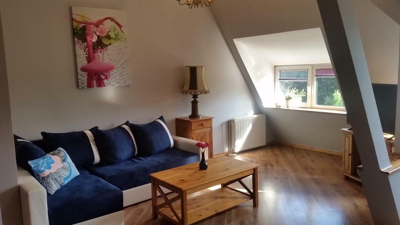 Apartament Blonia شتشيتسين المظهر الخارجي الصورة