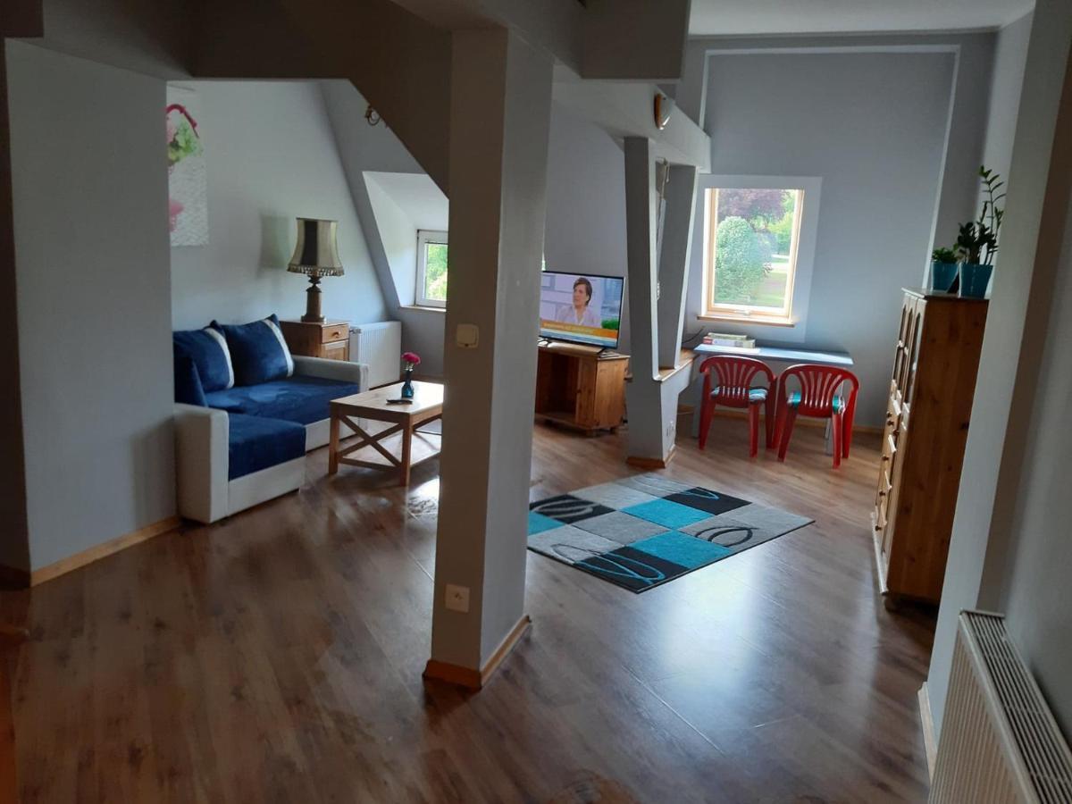 Apartament Blonia شتشيتسين المظهر الخارجي الصورة