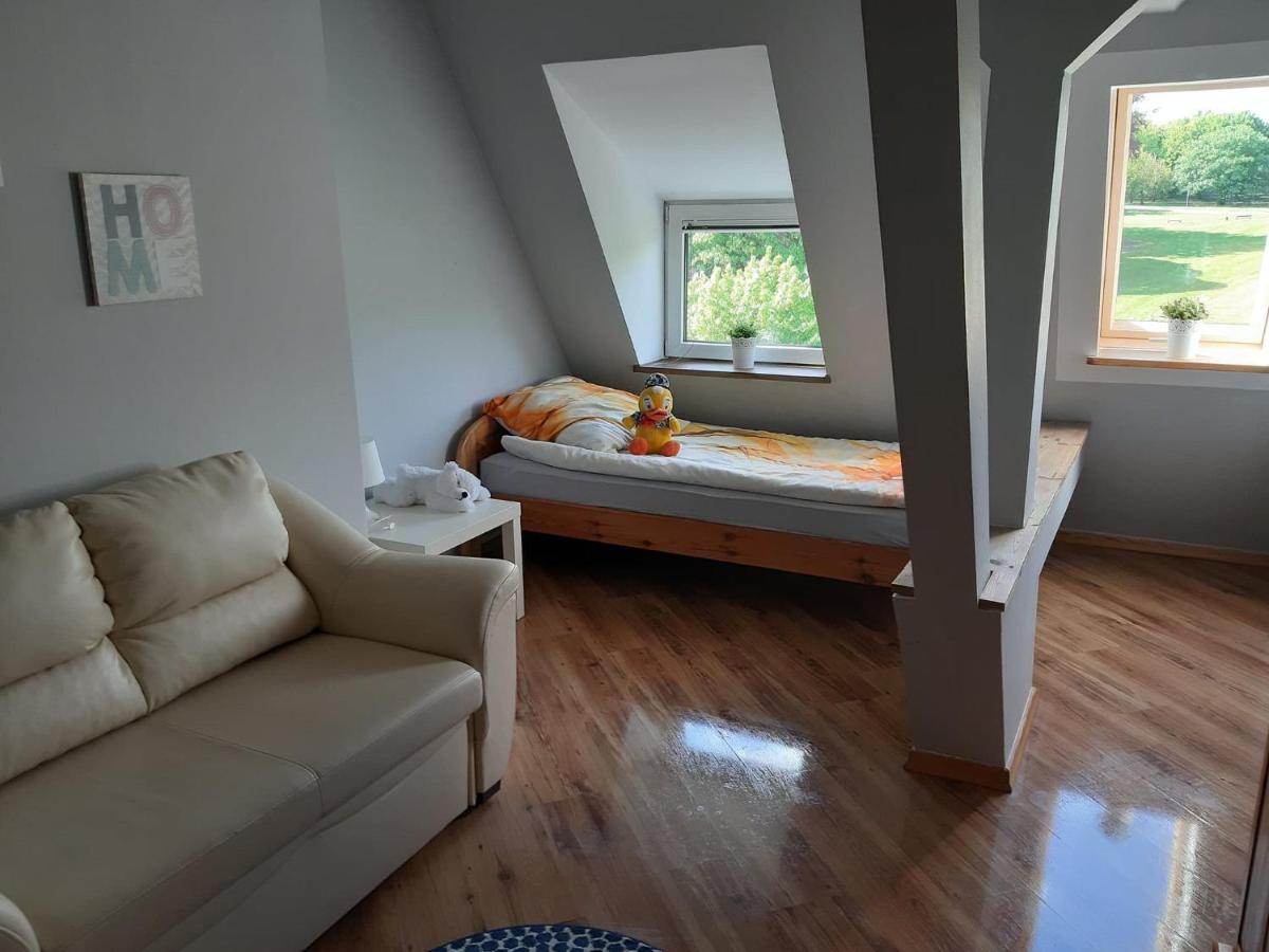 Apartament Blonia شتشيتسين المظهر الخارجي الصورة